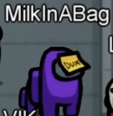 MilkInABag